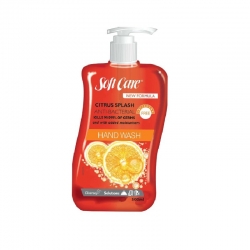 Diversey Soap Citrus Splash Anti Bac - 500ml